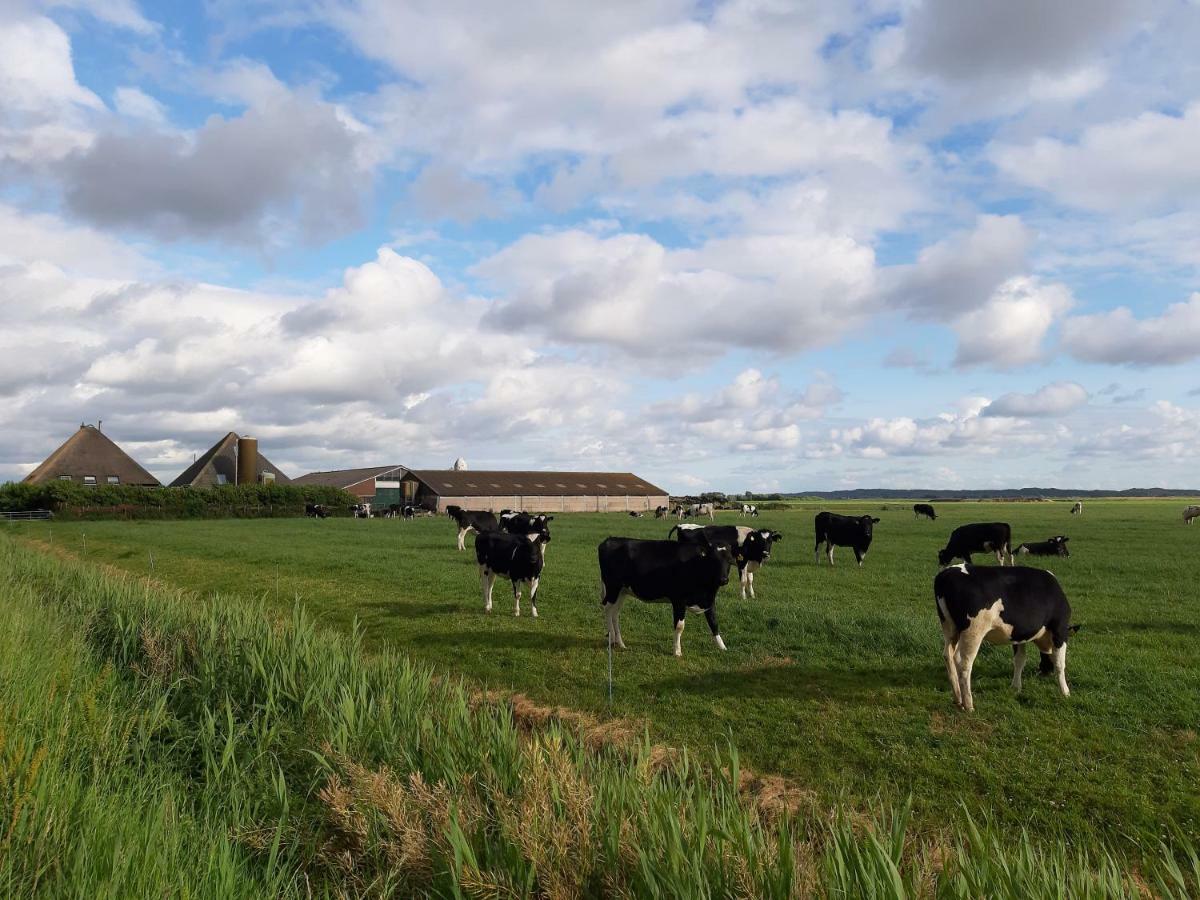 Iefjeshoeve Petten Luaran gambar